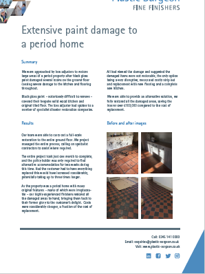 Paint damage case study